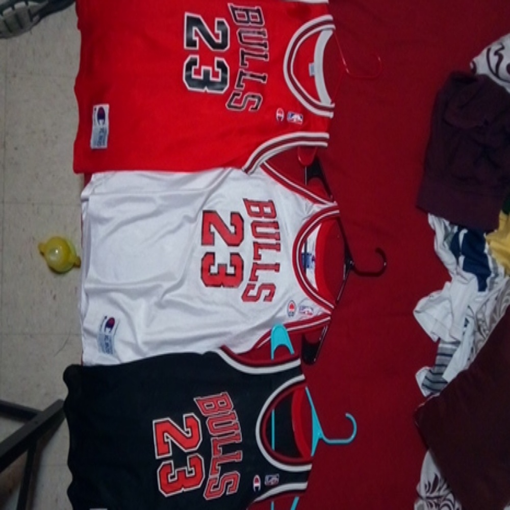 Champion "Bulls jeresy 23"